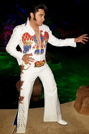 Elvis Tribute Artist